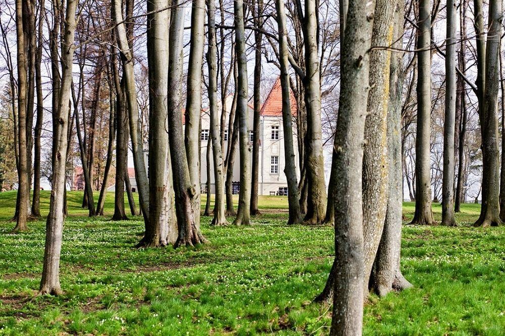Zespol Palacowy Pacoltowo Na Wylacznosc エクステリア 写真